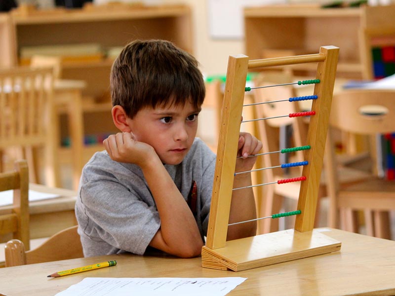 Reflective essay on the emergent teacher
