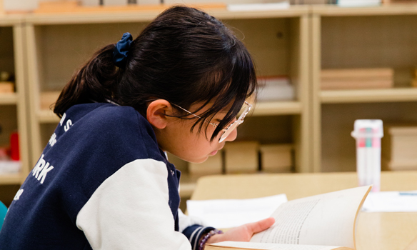 Featured Image for Language in a Primary Montessori Classroom