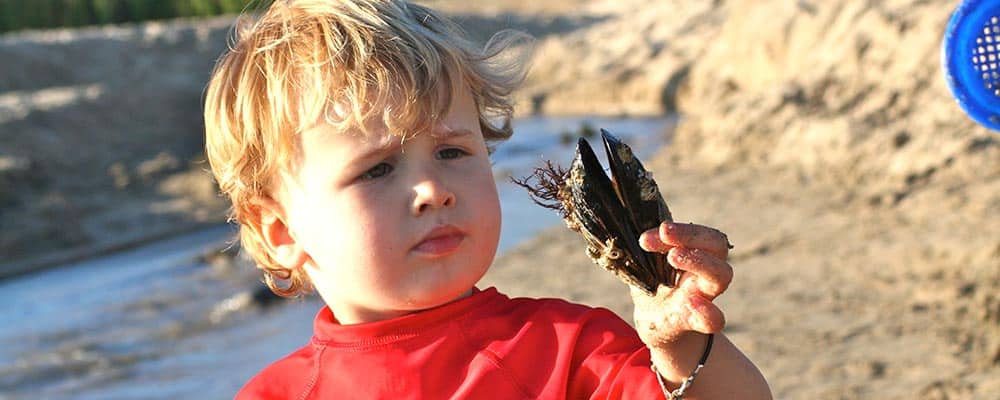 Featured Image for Encouraging the Scientist in Your Preschooler