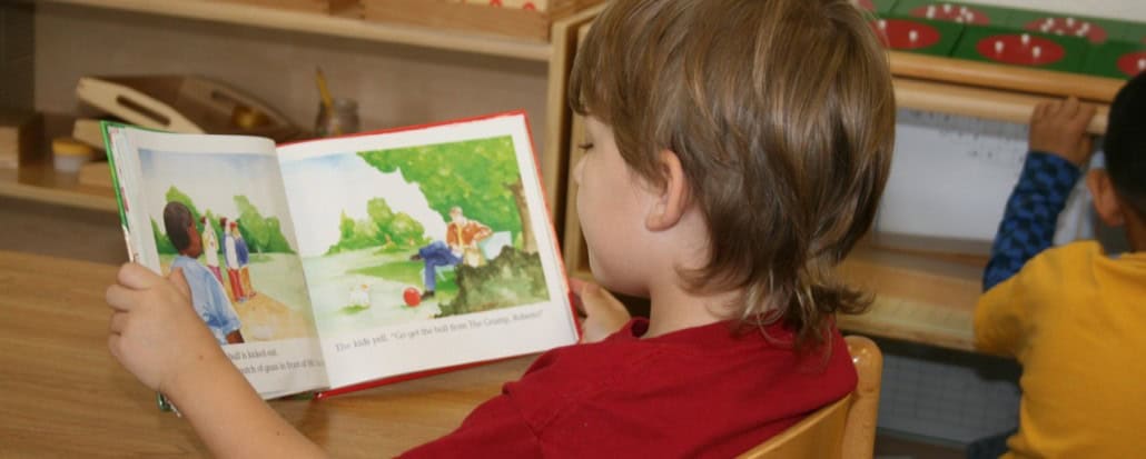 Featured Image for Selecting Early Readers For Your Child